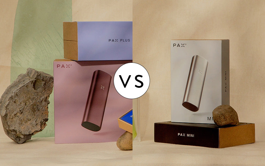 Pax Plus vs Pax Mini: An In-depth Comparison + Tips! – Herbalize Store